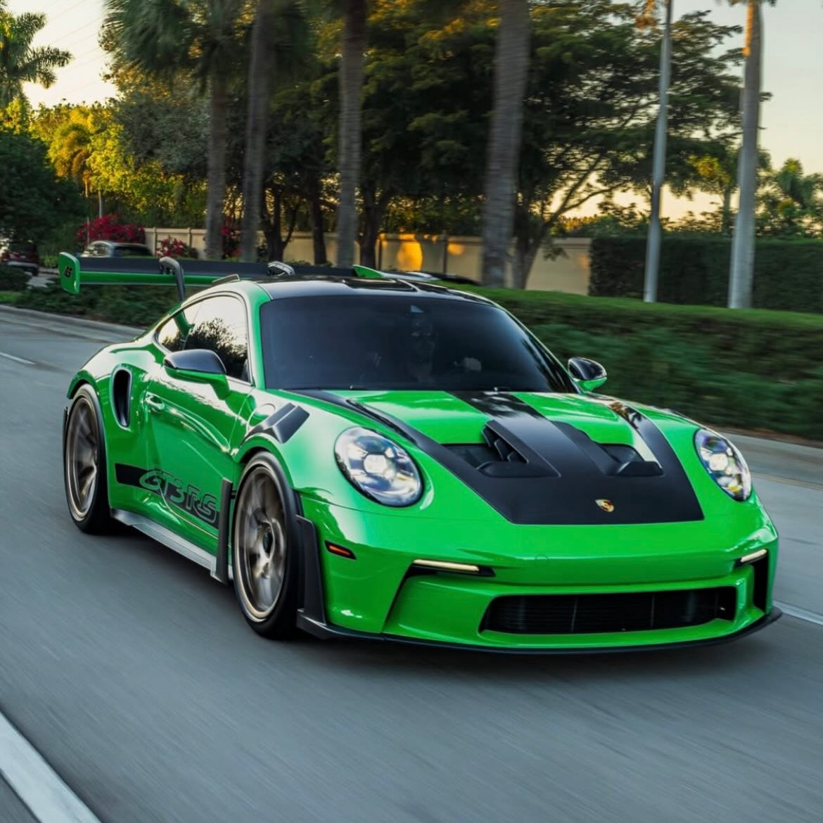 Lizard Green_Dry Installation Colour PPF