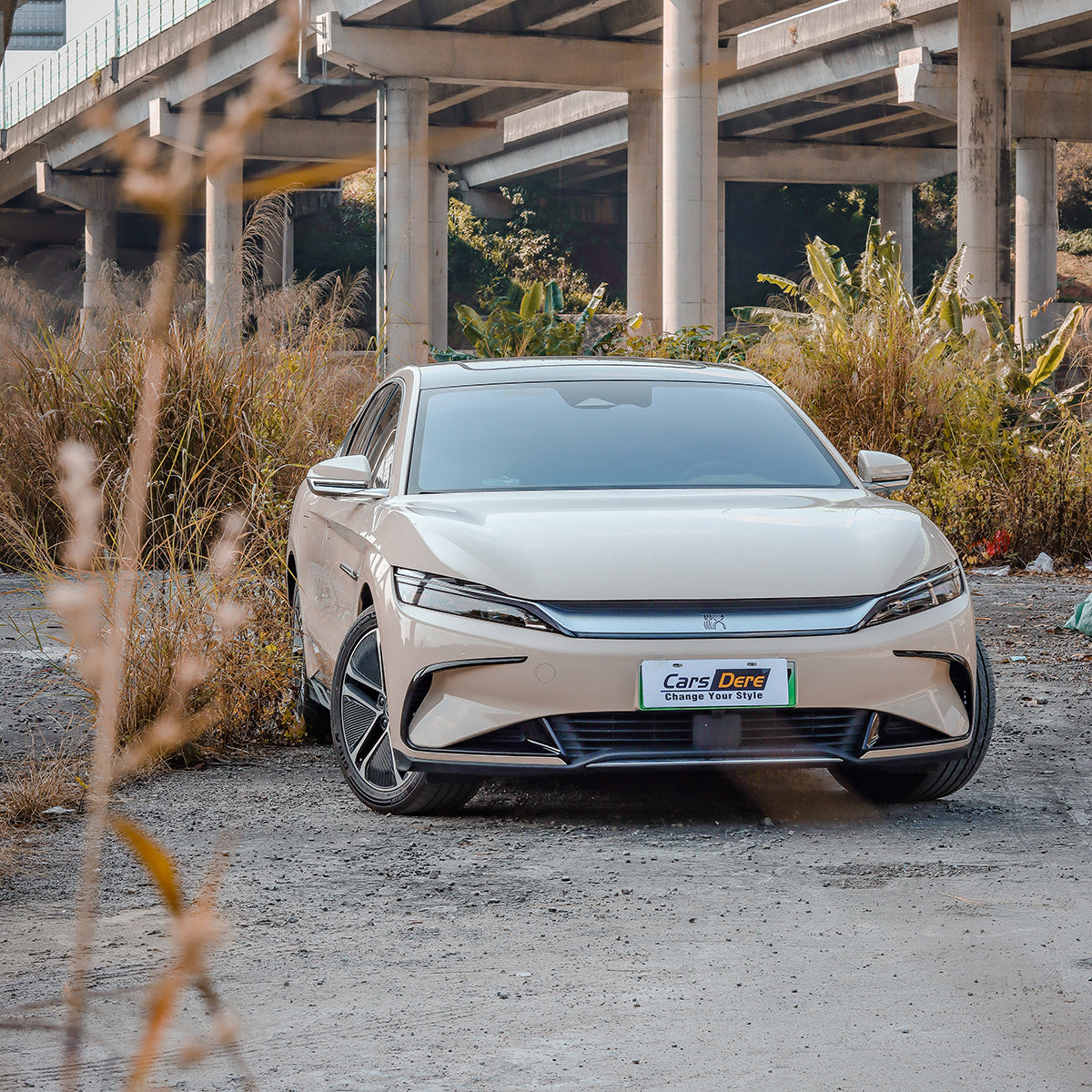 Gloss Light Lemonade PPF